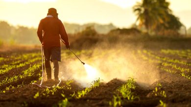 Hazardous pesticides