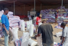 Savanna Agri Chains