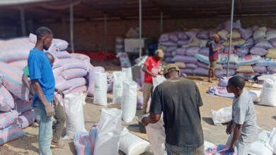 Savanna Agri Chains